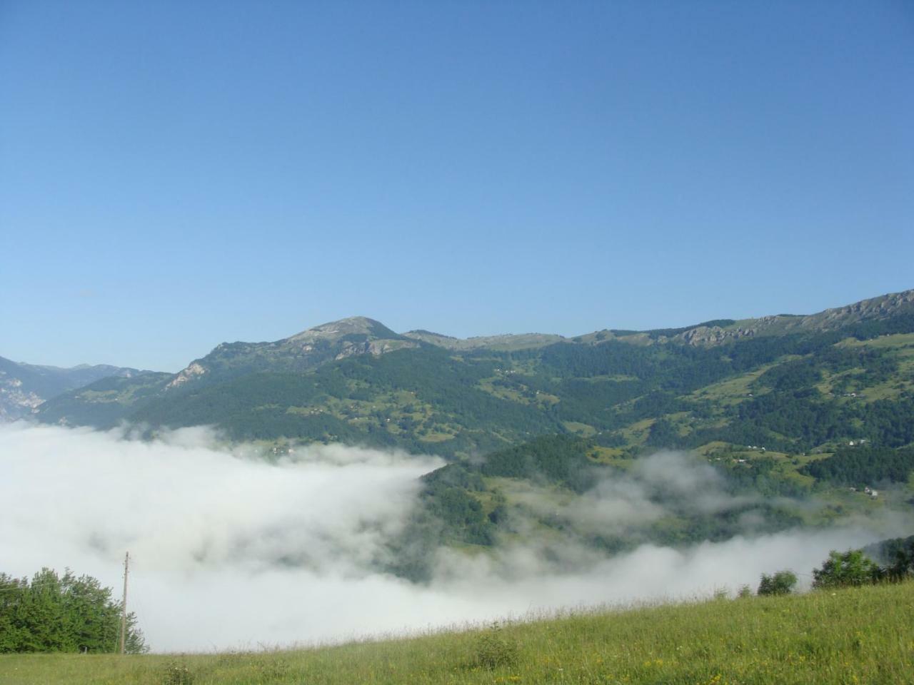 Taramour Cottages. Мойковац Экстерьер фото